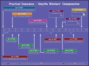 Insurance Investigation Timeline
