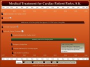 Patient Treatment Timeline